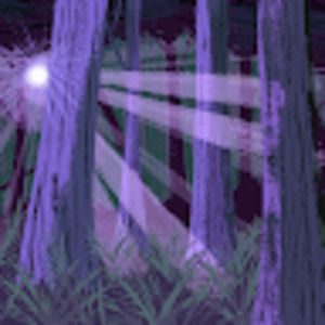 Meet your Posher, Jeffrey